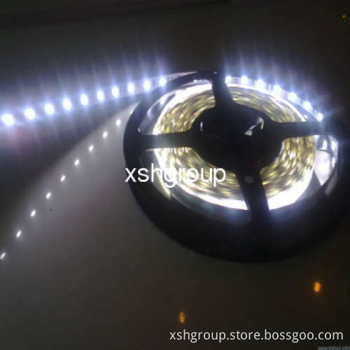 3years warranty Led Strip 24V 14.4W/m 60leds/m SMD5050